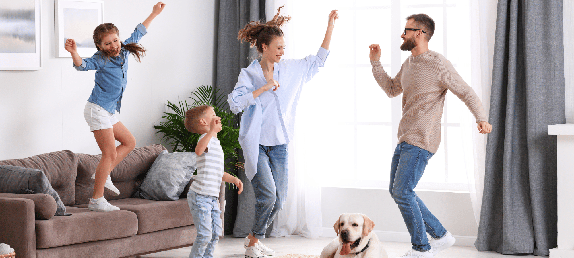 10 Greșeli frecvente în alegerea elementelor decorative atunci când ai animale de companie în casă