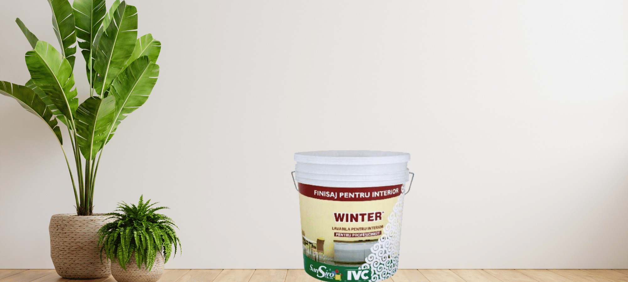 Cum prevenim apariția mucegaiului? Produse și soluții